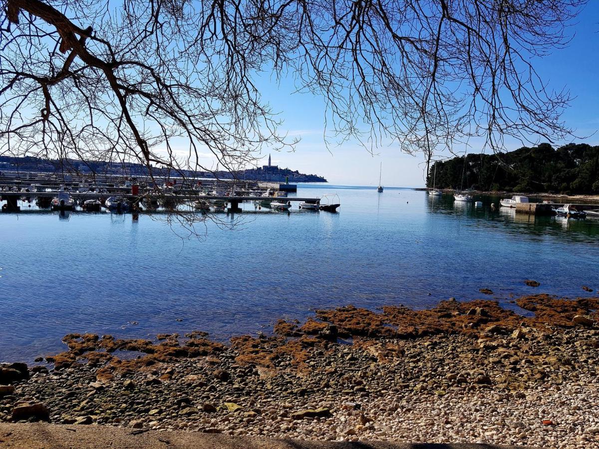 Martin Apartments Rovinj Eksteriør bilde